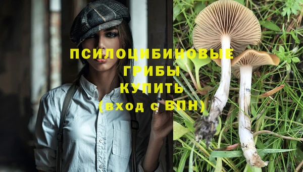 героин Белокуриха